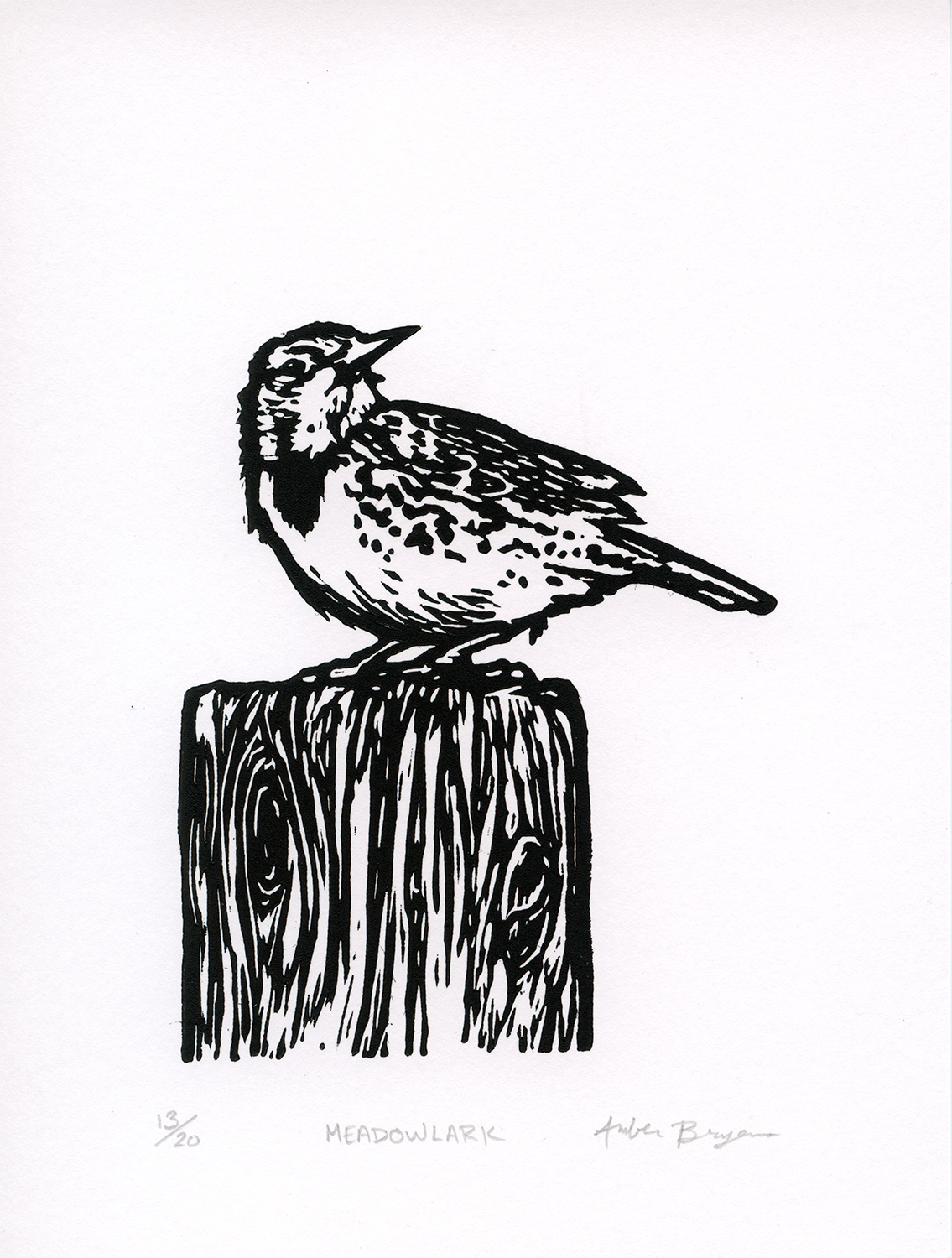 Meadowlark linocut print