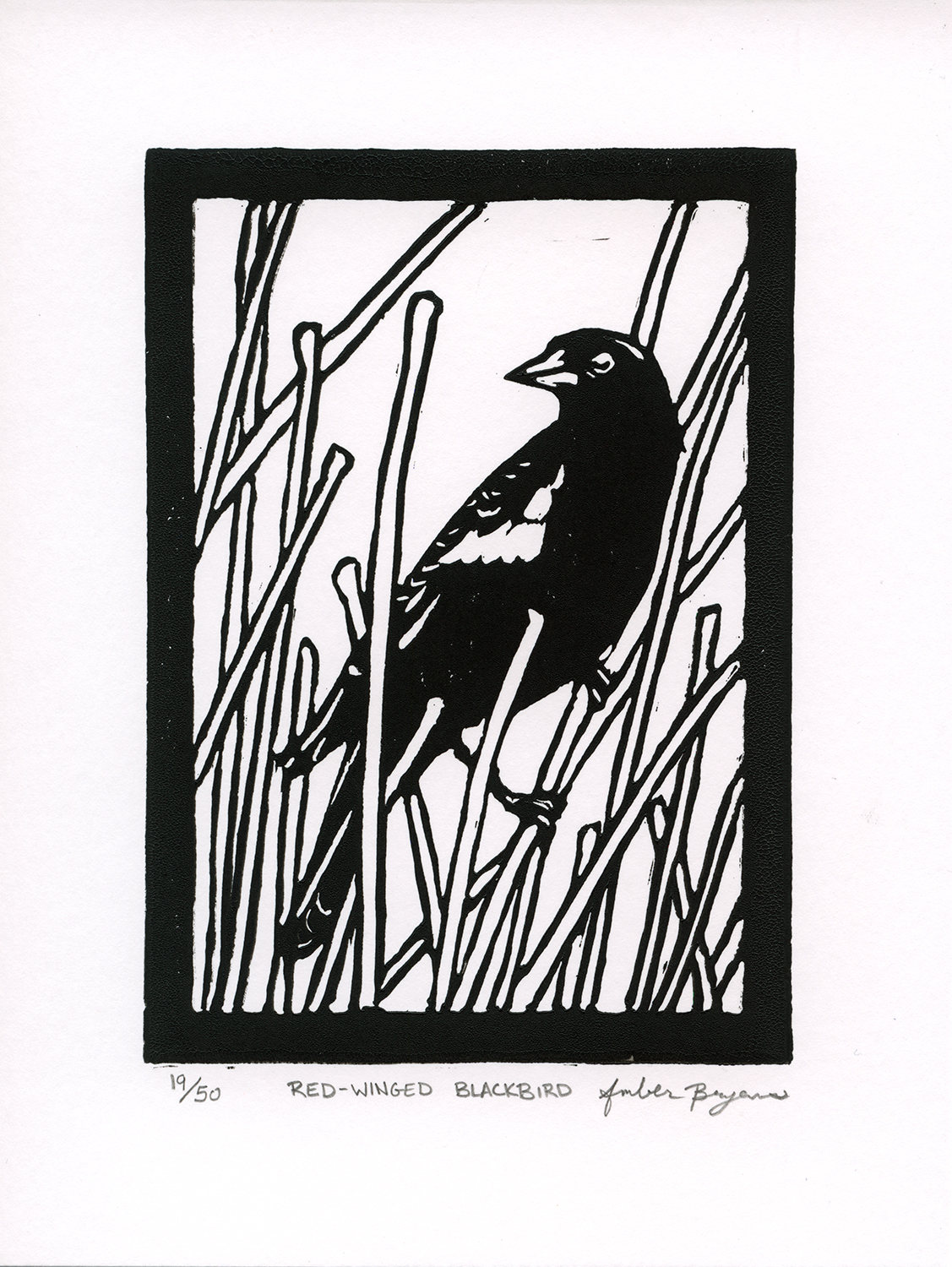 Red-Winged Blackbird linocut print
